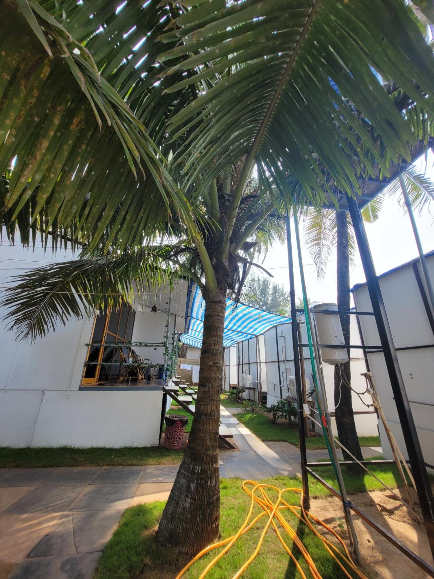 Kashinath Beach Huts Agonda Exterior foto